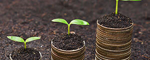 Deposit Accounts