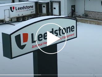 Leedstone
